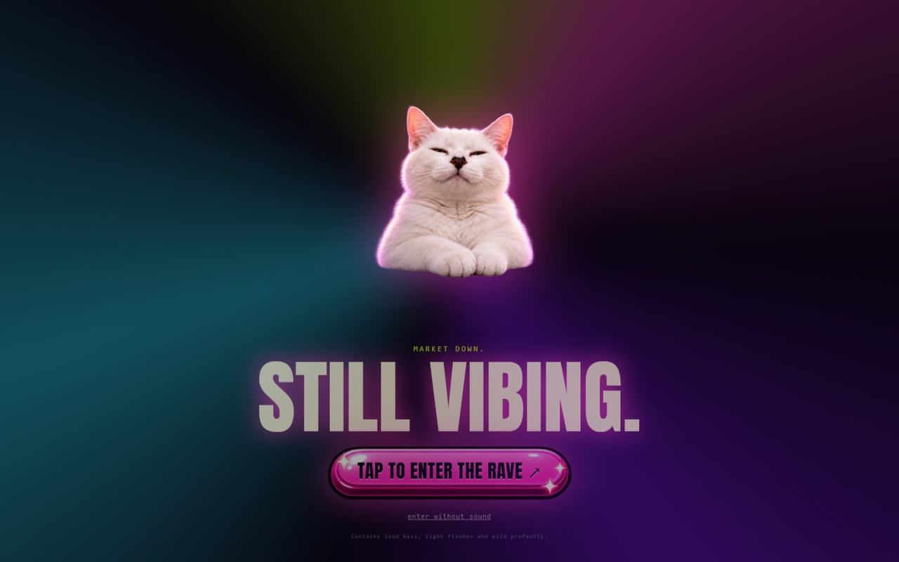 Vibecat website, desktop view 1