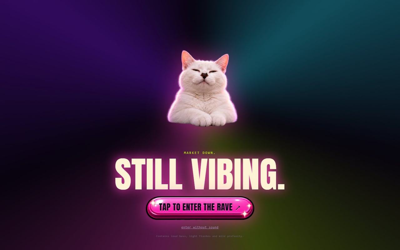 Vibecat website, desktop view 3