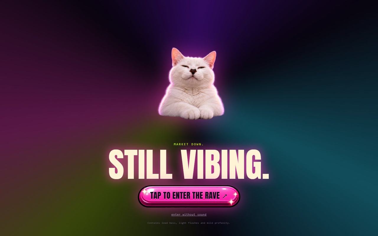 Vibecat website, desktop view 4